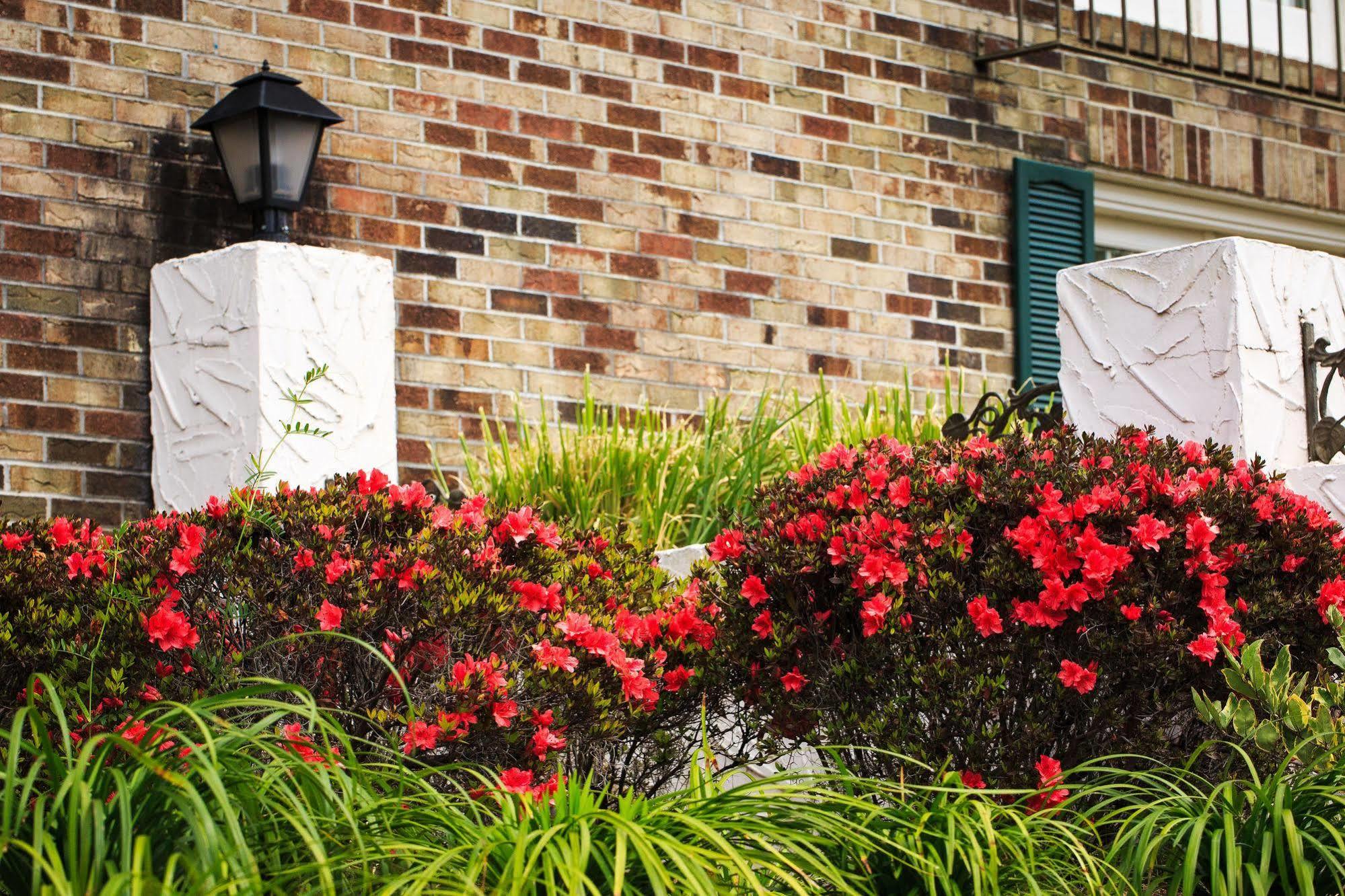 Comfort Inn Savannah Exterior foto